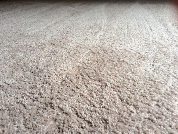 Plush Carpet Installation in Crestview